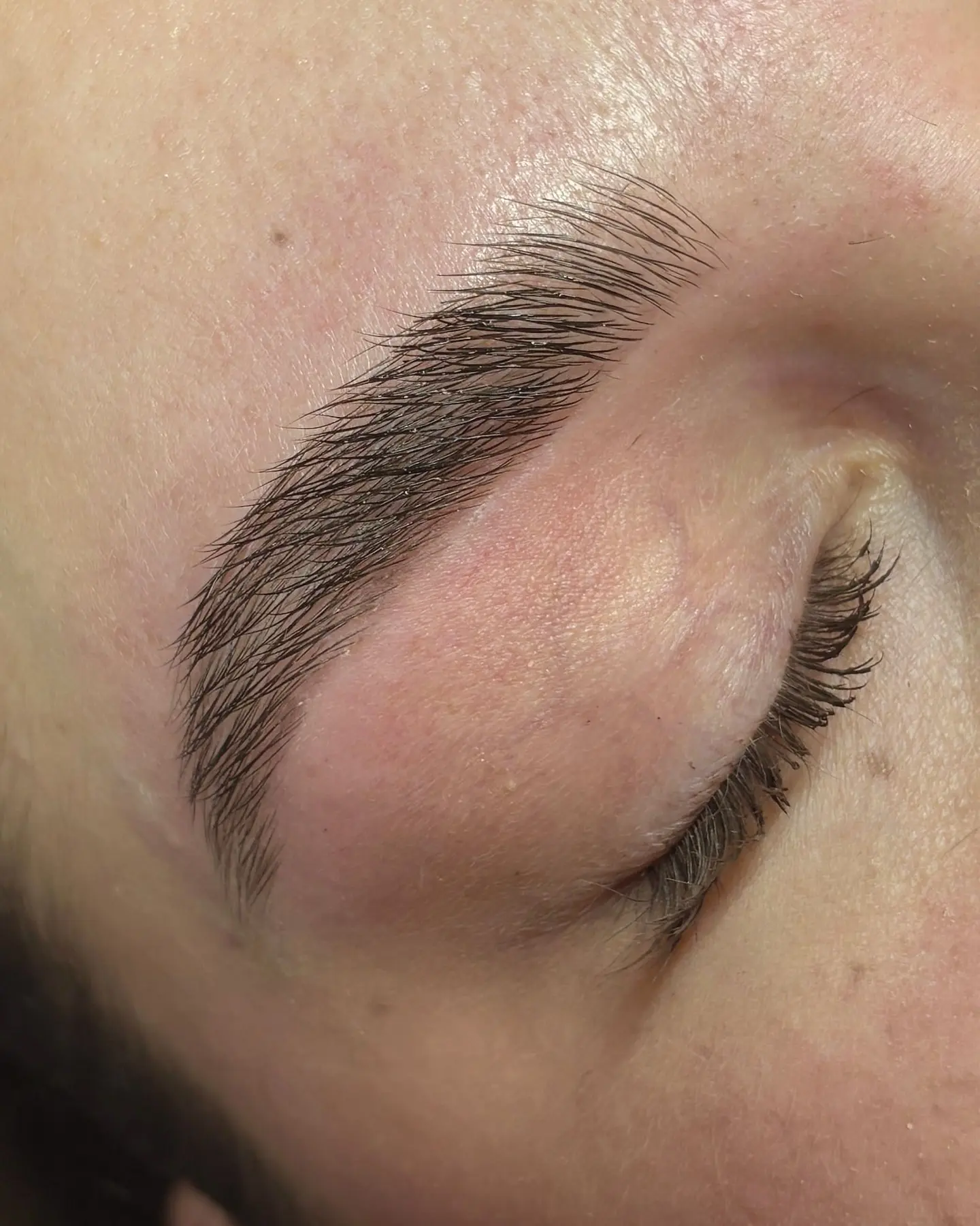 Browlift, poils de sourcil disciplinés vers le haut