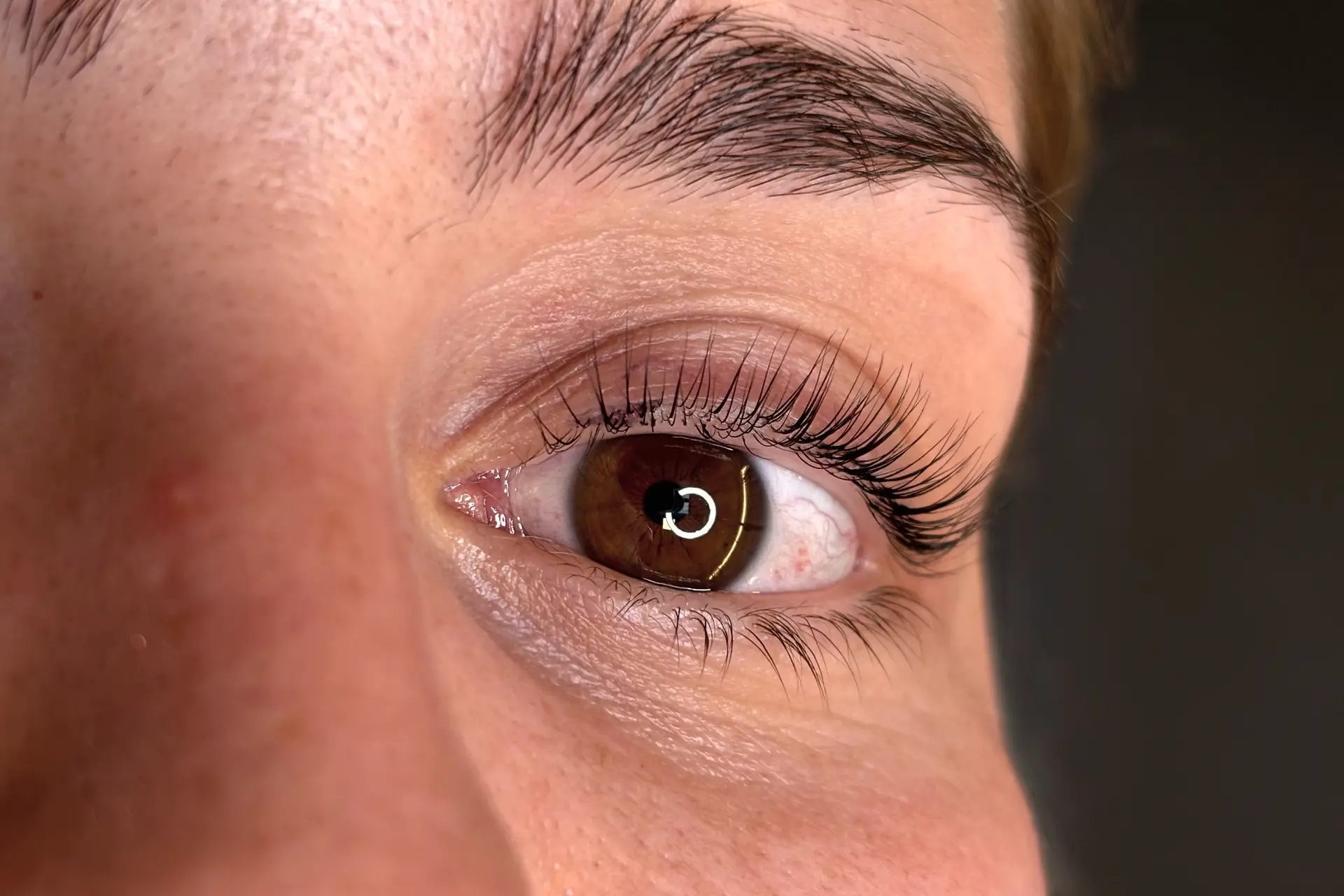 Œil marron aux cils naturels recourbés après un Korean Lash Lift